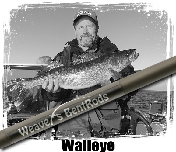 Custom Walleye Ice Rod Canadain Gold : Weaver's Bent Rods